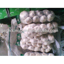 sell 2011 new crop garlic